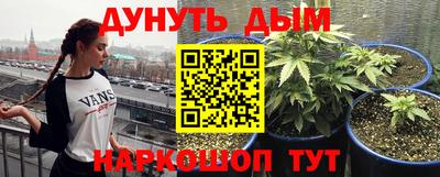 дживик Кимры
