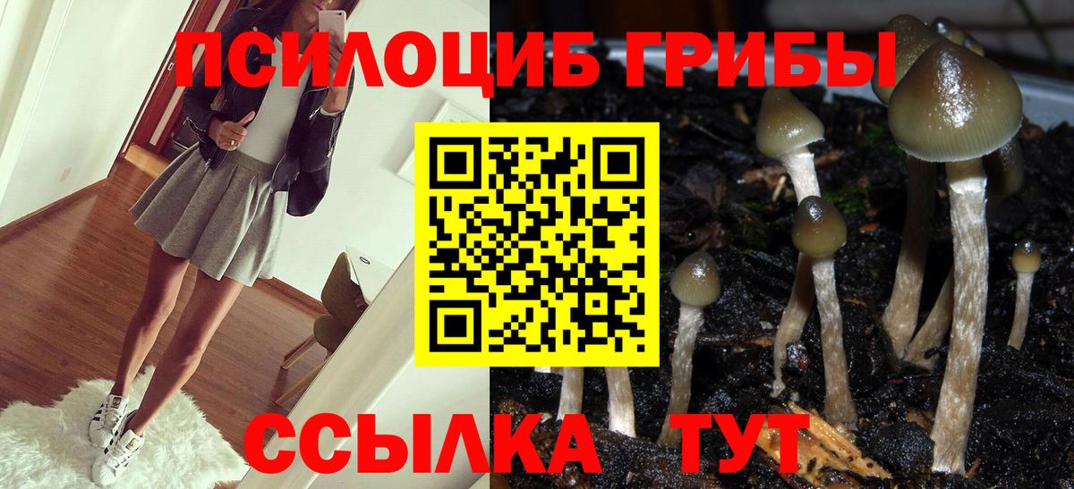 Псилоцибиновые грибы мицелий Крымск